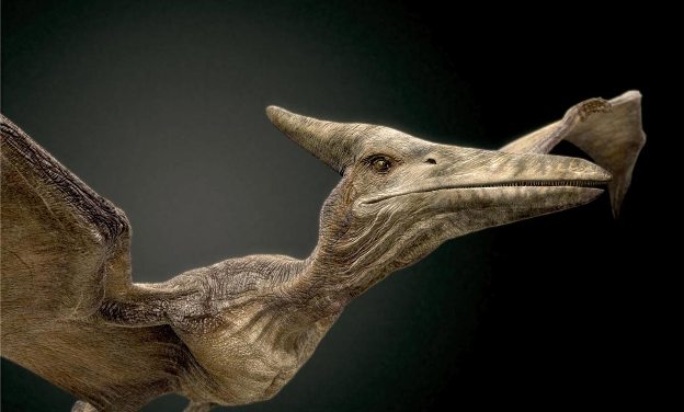 Птеродактиль